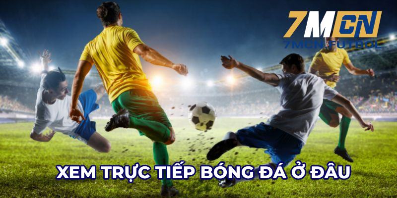 Xem trực tiếp bóng đá ở đâu