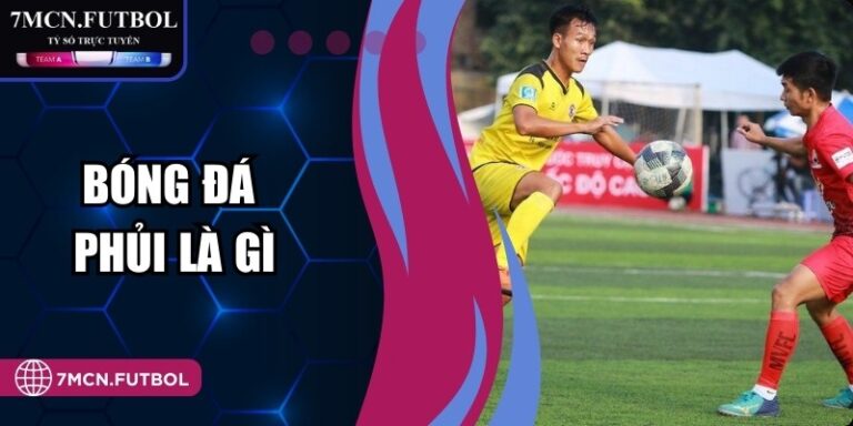 Bóng Đá Phủi Là Gì Và Đặc Điểm Thú Vị Bạn Cần Biết