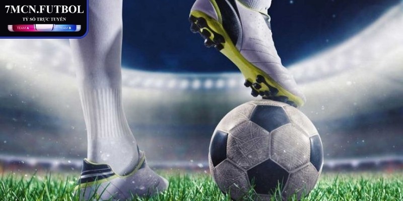 Chiêu thức nhà cái dụ người chơi vào bẫy