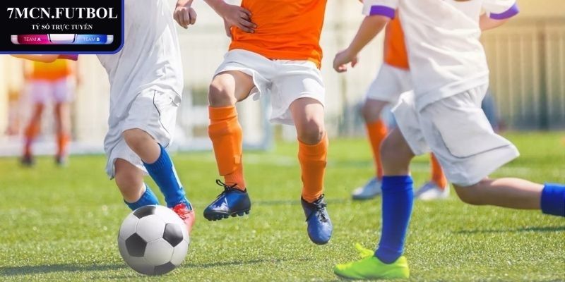 Dữ liệu bảng kèo Draw No Bet là gì tại hệ thống